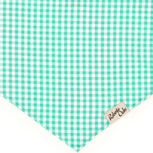 Pet Gingham Aqua